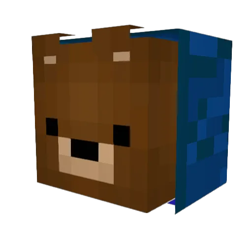 Yolo_Gamer008 Minecraft avatar head, 3D render