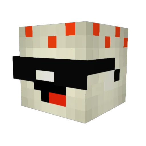 Yolo_kill3errrr Minecraft avatar head, 3D render