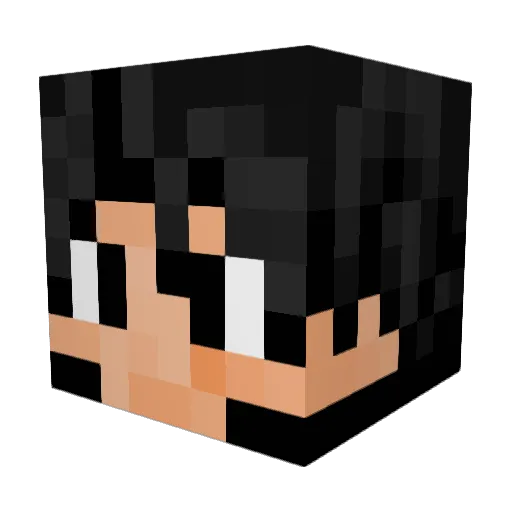 Yolopug Minecraft avatar head, 3D render