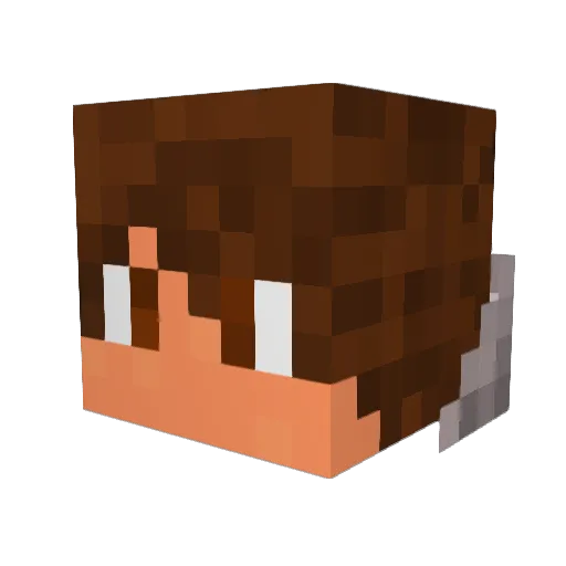 Yomamma2003 Minecraft avatar head, 3D render