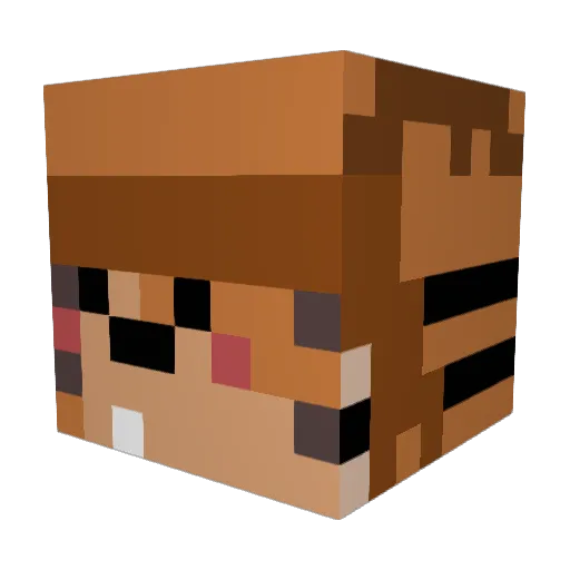 Yomyslime300 Minecraft avatar head, 3D render