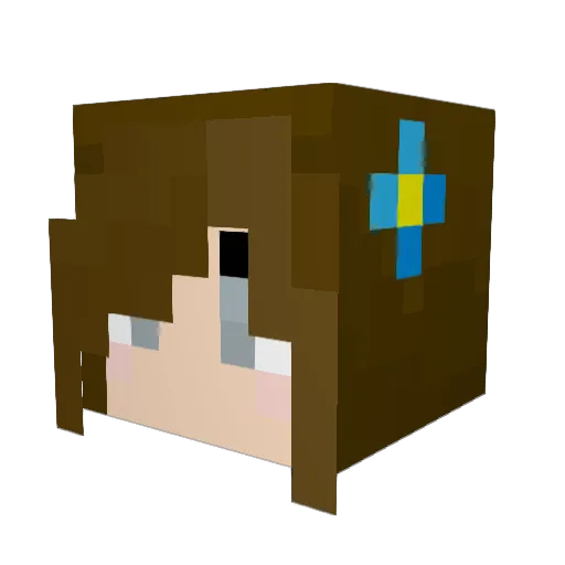 Yonderponder Minecraft avatar head, 3D render