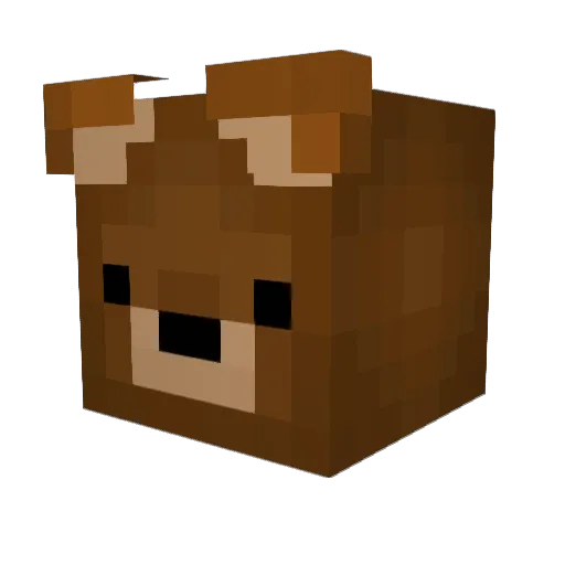 YongYong2005 Minecraft avatar head, 3D render