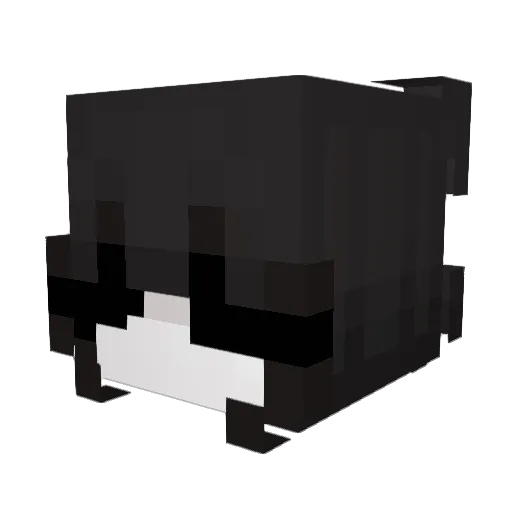 YooHi1 Minecraft avatar head, 3D render