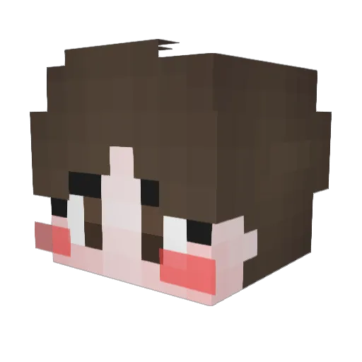 YooUk Minecraft avatar head, 3D render