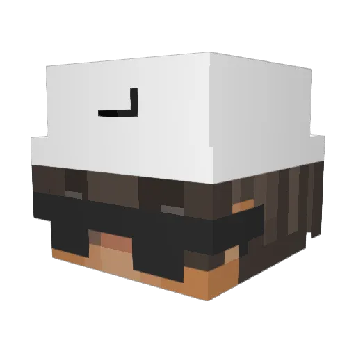 Yooger2011 Minecraft avatar head, 3D render