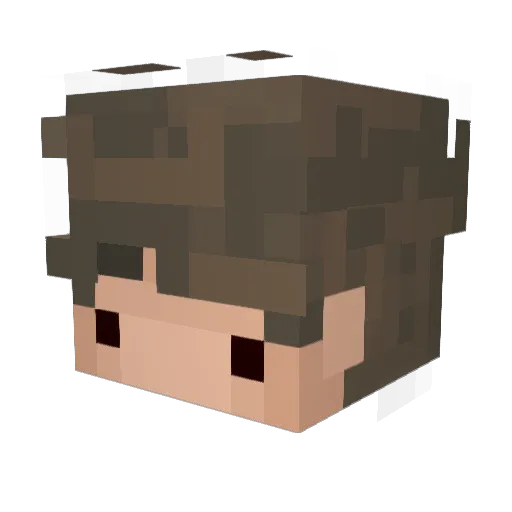 Yoon0712 Minecraft avatar head, 3D render