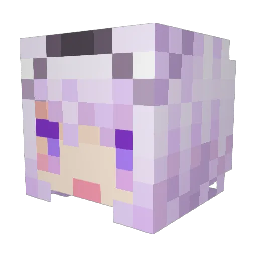 Yooo2683 Minecraft avatar head, 3D render