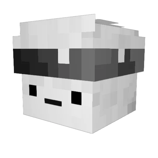 Yoooshl Minecraft avatar head, 3D render