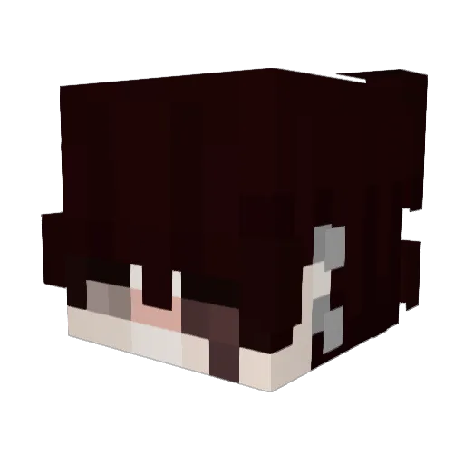 Yooung_ Minecraft avatar head, 3D render