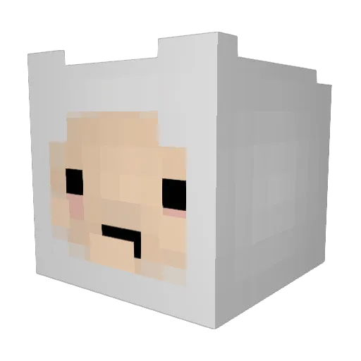 Yoquesetioxdxdd Minecraft avatar head, 3D render