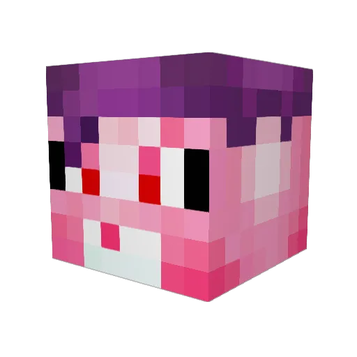 YorkieGamer64 Minecraft avatar head, 3D render
