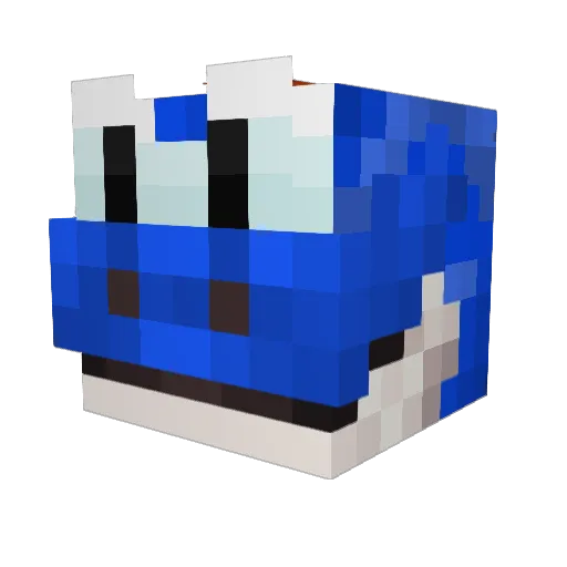 Yoshi6005009 Minecraft avatar head, 3D render