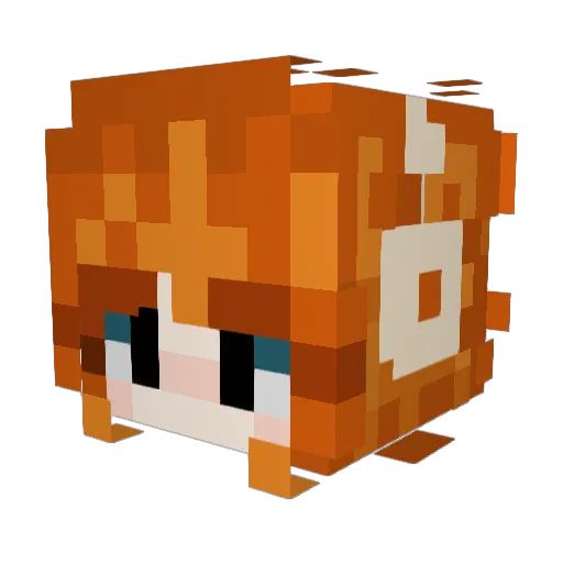 Yoshi_Wada Minecraft avatar head, 3D render