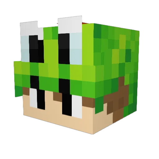 Yoshi_link Minecraft avatar head, 3D render