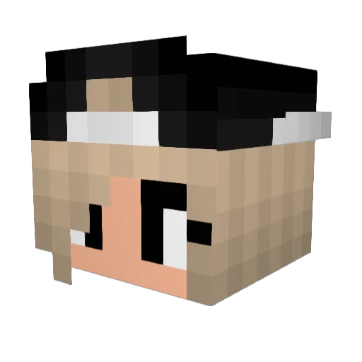 Yoshie212_ Minecraft avatar head, 3D render
