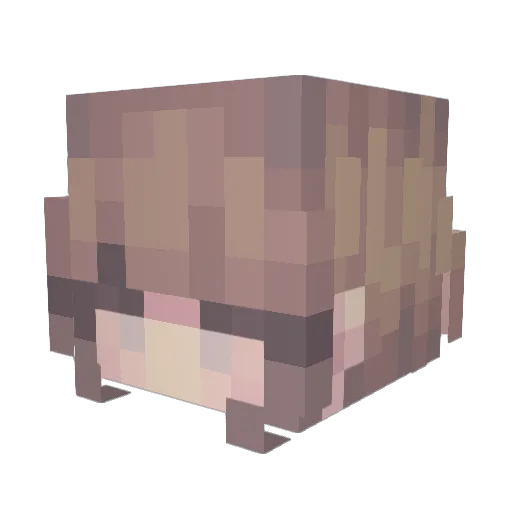 Yoshiix38 Minecraft avatar head, 3D render