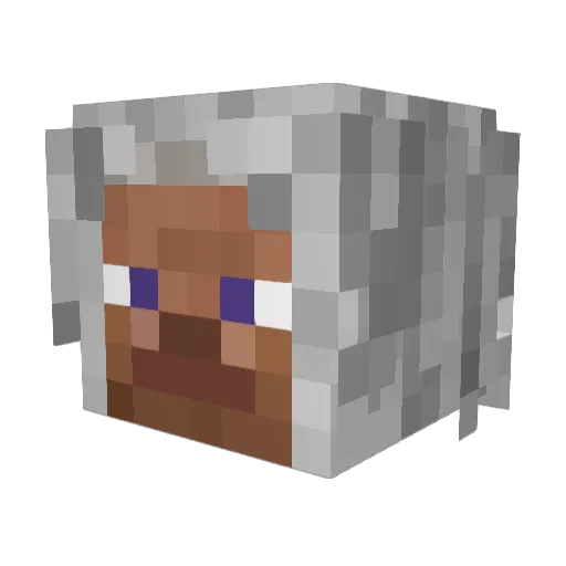 Yoshimaster599 Minecraft avatar head, 3D render