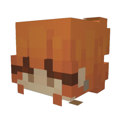 Yoshispeelt Minecraft avatar head, 3D render
