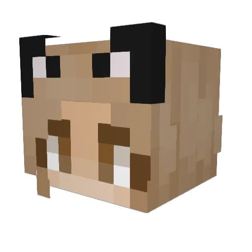 Yoshka98 Minecraft avatar head, 3D render