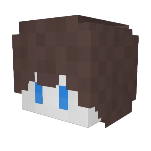 Yoter3005 Minecraft avatar head, 3D render