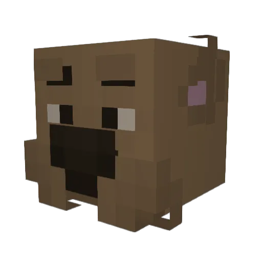 Yotopie1 Minecraft avatar head, 3D render
