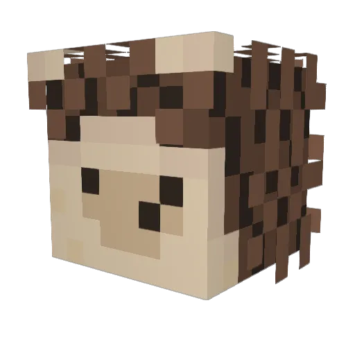 Yotto04 Minecraft avatar head, 3D render