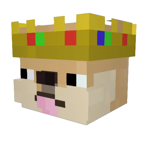 YouAqas_ Minecraft avatar head, 3D render