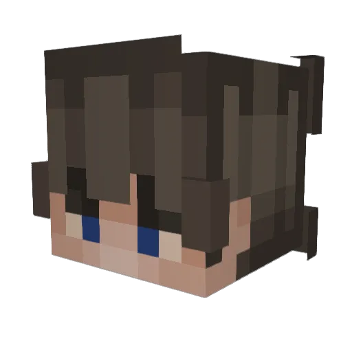 YouAreAFK Minecraft avatar head, 3D render