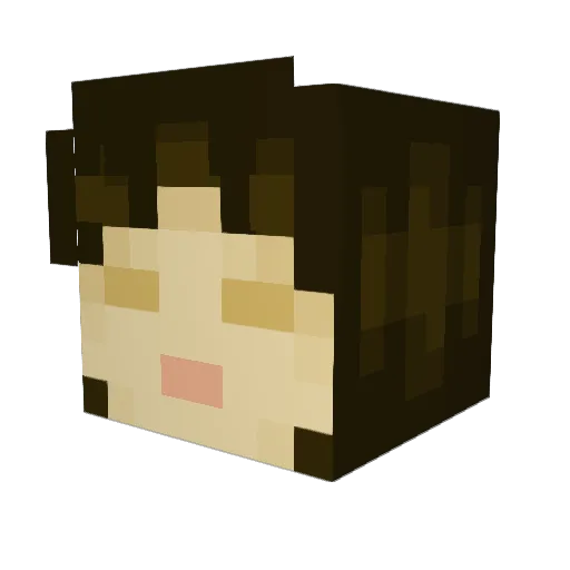 YouAskMeIAskTree Minecraft avatar head, 3D render