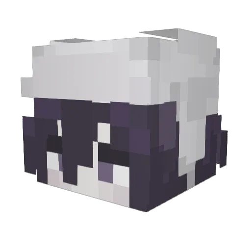 YouAteApple Minecraft avatar head, 3D render