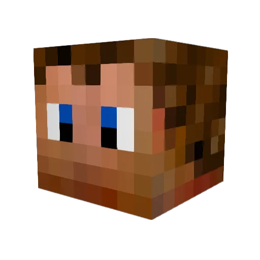 YouCanCallmeRoz Minecraft avatar head, 3D render
