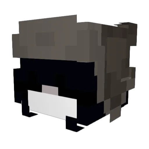 YouCuteNgl Minecraft avatar head, 3D render
