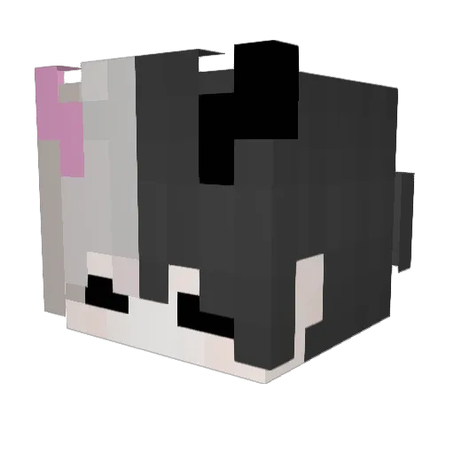 YouDidentSeeMe Minecraft avatar head, 3D render