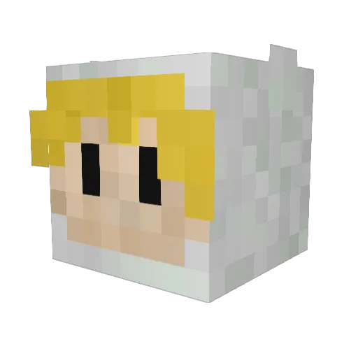 YouDoge123 Minecraft avatar head, 3D render