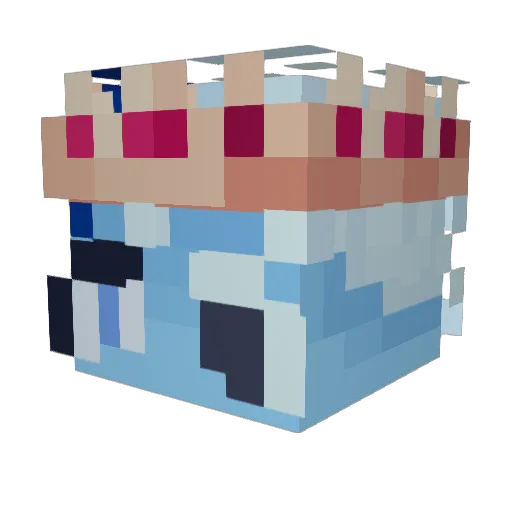 YouGonnaYEET Minecraft avatar head, 3D render