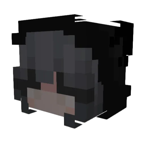 YouGotDoggied Minecraft avatar head, 3D render