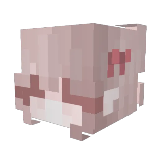 YouHaveNoEnemies Minecraft avatar head, 3D render