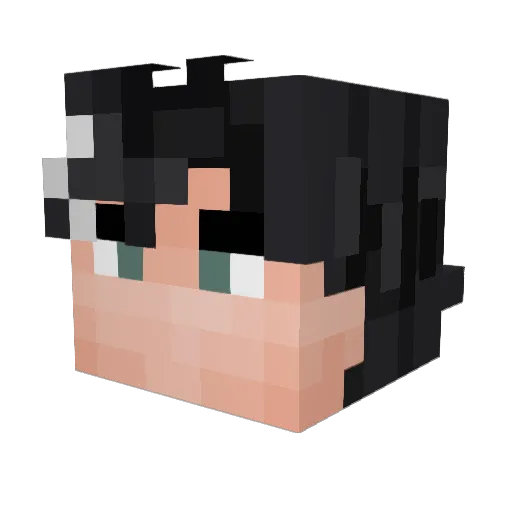 YouHaveNoIdea35 Minecraft avatar head, 3D render