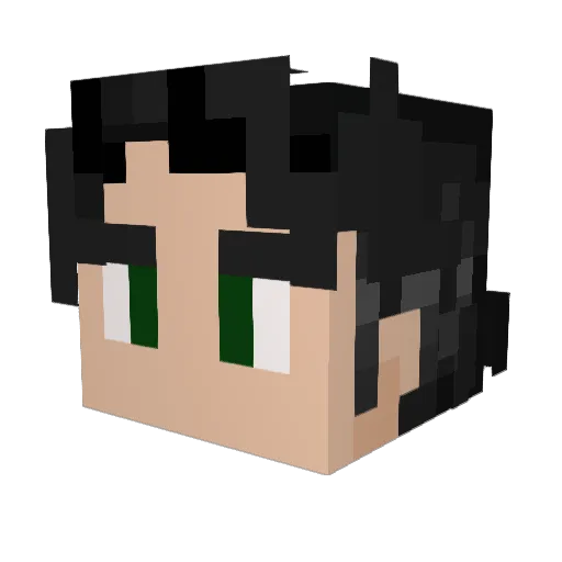 YouJustGotLokid Minecraft avatar head, 3D render