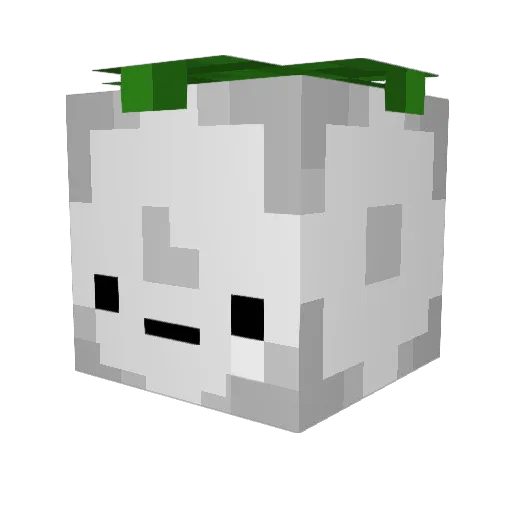 YouKnowMaName Minecraft avatar head, 3D render