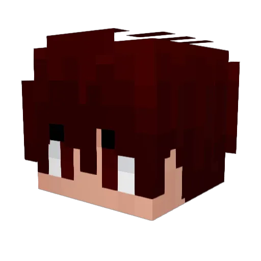 YouMingOvO Minecraft avatar head, 3D render