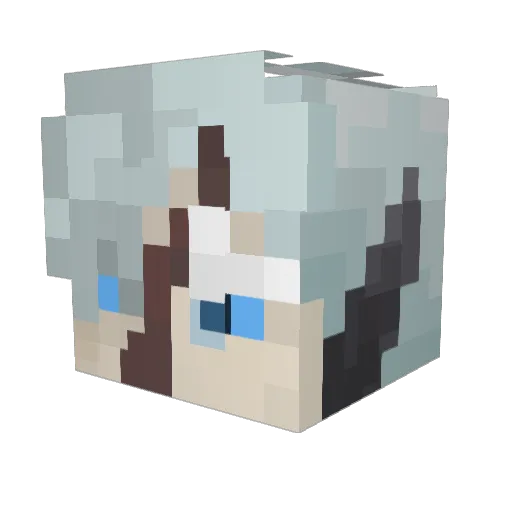 YouNeedALobotomy Minecraft avatar head, 3D render