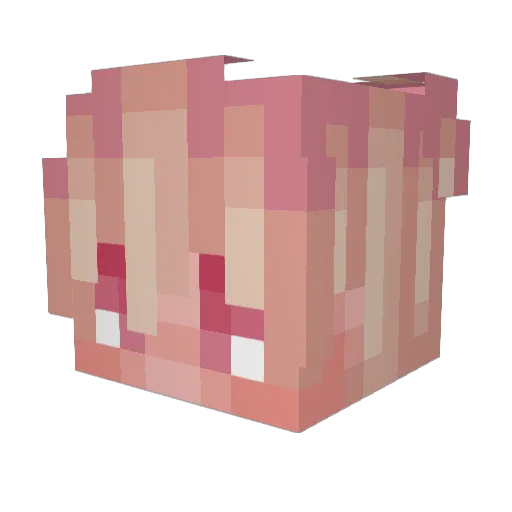 YouNoobBoy Minecraft avatar head, 3D render
