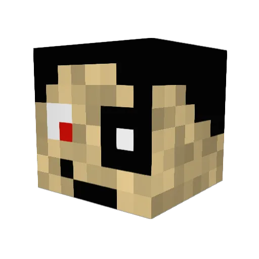 YouTheManNowDog Minecraft avatar head, 3D render