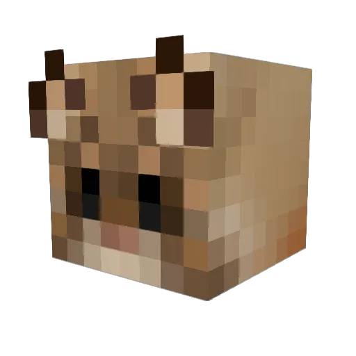 YouTookAnL Minecraft avatar head, 3D render