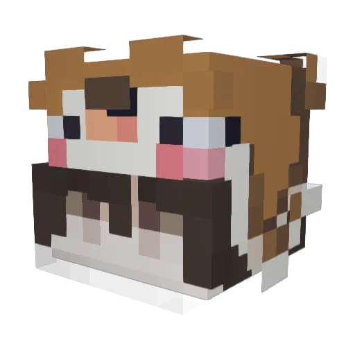 YouTube_Kedi739 Minecraft avatar head, 3D render