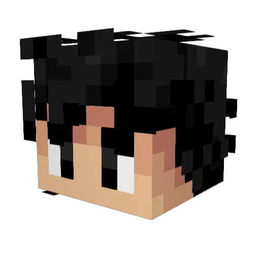 YouWantMyDick Minecraft avatar head, 3D render