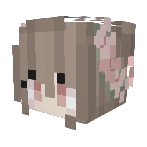 YouYuDaDi Minecraft avatar head, 3D render