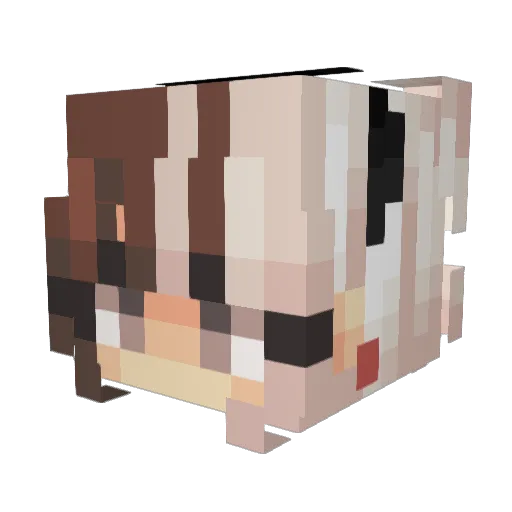 You_Dont_Know Minecraft avatar head, 3D render